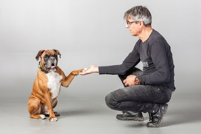Tandem éducation, Dresseur de Chiens à Saint-Marcel-sur-Aude
