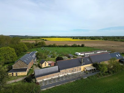 La Ferme des Hallais, Eleveur de Chiens à Saint-Denis-d'Orques