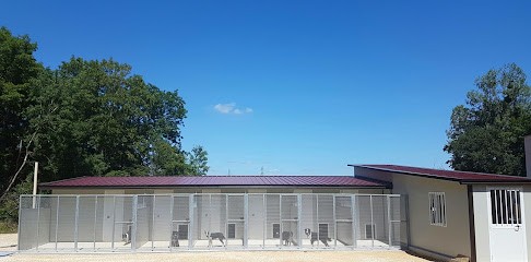 O'MEGAA CAMPUS DU CHIEN, Pension pour Chiens à Toul