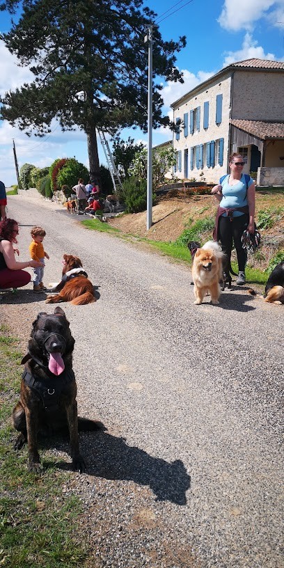SOS DOG, Dresseur de Chiens à Pujols