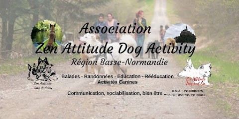 Zen Attitude Dog Activity, Dresseur de Chiens à Montaigu-la-Brisette