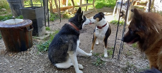 Le Clos D'Izy - Pension canine familiale & NACS, Pension pour Chiens à Saint-Loup-de-Buffigny