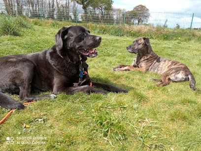 Natur'canin : éducation canine, Dresseur de Chiens au Cloître-Pleyben