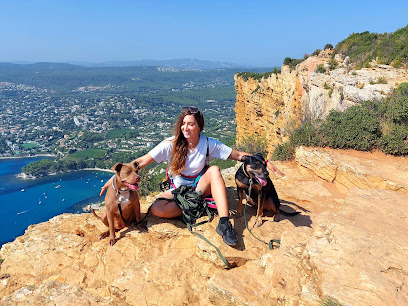 Ora - Éducatrice Comportementaliste Canine. Dresseur De Chiens à Marseille 02