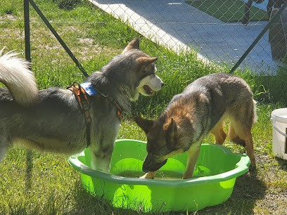 ACT'ani, Dresseur de Chiens au Rouget-Pers