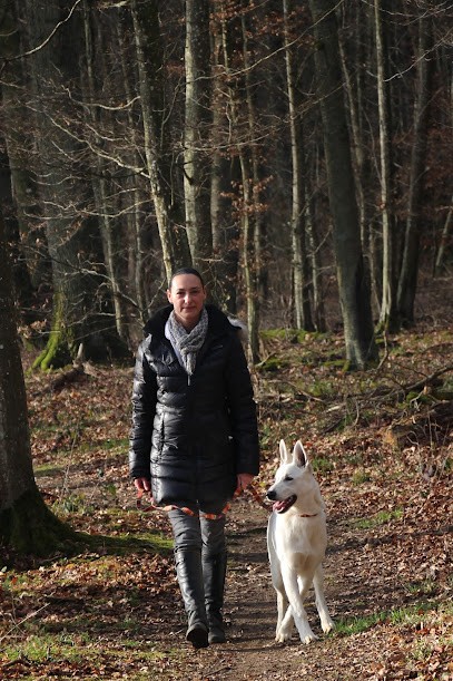 Les Amis d'Oslo - Pet Services, Pension pour Chiens à Courcelles-sur-Nied