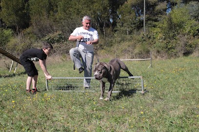 Cyn'Elite, Dresseur de Chiens à Lambesc