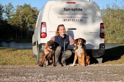 SYN'OPHILE - Educateur Comportementaliste Canin - Haute Saone, Dresseur de Chiens à Port-sur-Saône