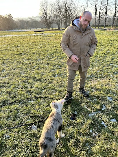 La Voie Du Chien - Educateur Canin Comportementaliste, Dresseur de Chiens à Sainte-Geneviève-des-Bois