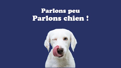 Langue De Chien - éducateur Canin, Dresseur de Chiens à Marchéville