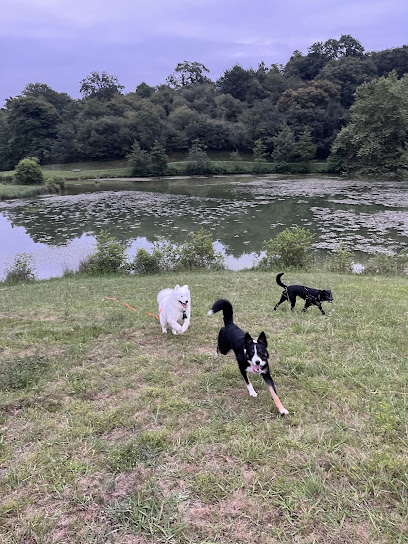 Les Toutous De Io - Pension Canine - Dogsitter, Pension Pour Chien à Saint-Pée-sur-Nivelle