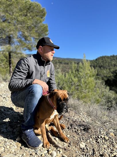 Dans La Tête De Umi Dresseur De Chiens à Levens