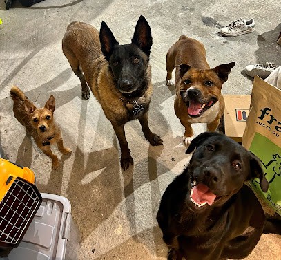 Les Copains d'Oxo, Pension pour Chiens à Leudeville