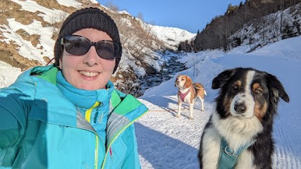 4 Pattes Attitude, Dresseur de Chiens à Port-des-Barques