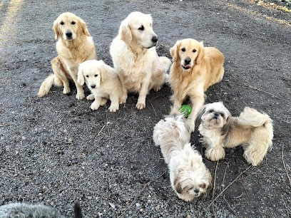Elevage du Bord de Rivière, Eleveur de Chiens à Perruel