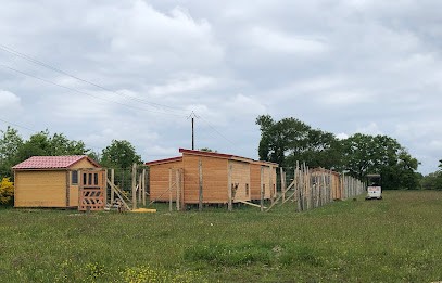Entente Canine, Dresseur de Chiens à Marcilly-sur-Maulne