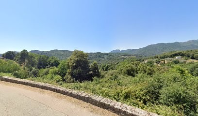 Elevage chiot Yorkshire et chiot berger allemand en Corse., Eleveur de Chiens à Azilone-Ampaza