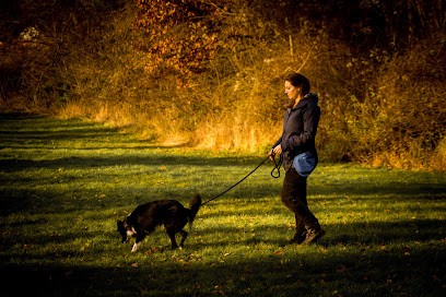 Framily Dogs, Dresseur de Chiens à Montévrain