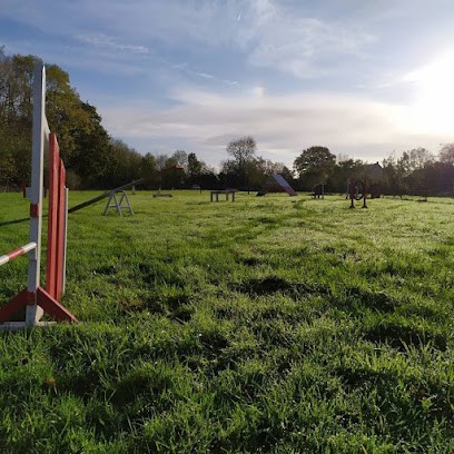 Centre Canin Le Val D'Ingy, Dresseur de Chiens à Villy-Bocage