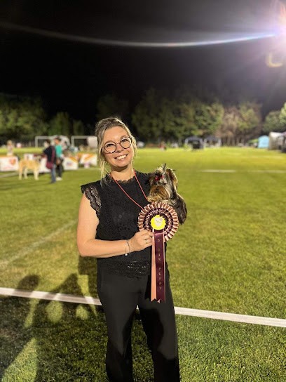 Élevage De la Maison du Parc- Yorkshire Terrier LOF, Eleveur de Chiens à Vesseaux