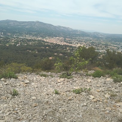 Chenil des Lavandes, Pension pour Chiens à Carnoux-en-Provence