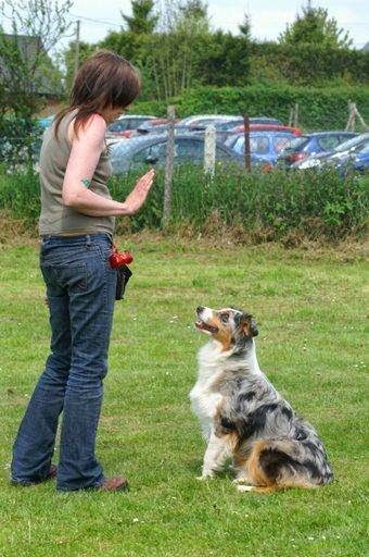 Fermé, Dresseur de Chiens au Catelier