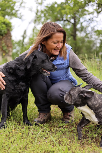 Edu K' Nin - Educateur Et Comportementaliste Canin, Dresseur De Chiens à Montbrison