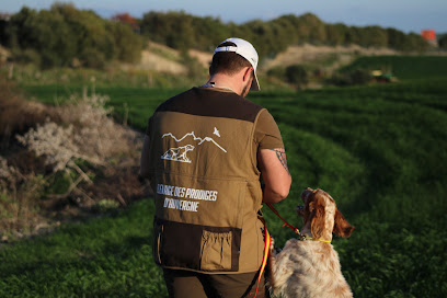 Pension Élevage Dressage Des Prodiges D'auvergne, Pension Pour Chien à Puy-Guillaume