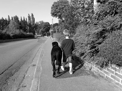 Élevage de Cane Corso des Protecteurs de Sidh, Eleveur de Chiens à Wormhout