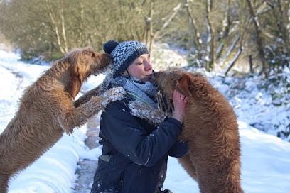 Pension Education Les Echos Des Pilards, Pension pour Chiens à Plouvara