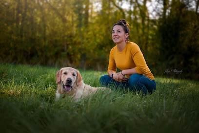 Instinctivement Chien - Educateur Et Comportementaliste Canin, Garde De Chiens, Promenades De Chiens, Loisirs Avec Son Chien, Dresseur de Chiens à Vexin-sur-Epte