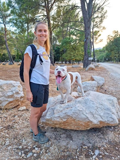 Les Chiens De Marseille, Dresseur de Chiens à Marseille 12