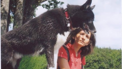 Canid'élire - Education Positive, Dresseur de Chiens à Marseille 09