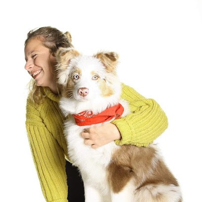 CANAYA- Educateur comportementaliste canin, Dresseur de Chiens à Mondonville