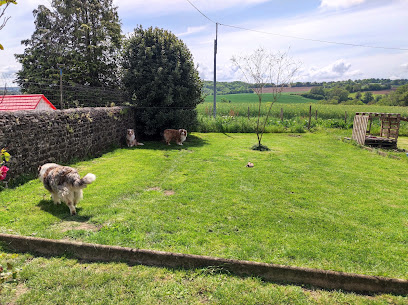 Élevage Des Gardiens D'une Passion, Éleveur De Chiens à Courcité