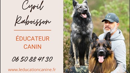 L'éducation Canine avec Cyril Raboisson, Dresseur de Chiens à Ménétrol