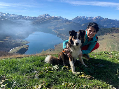 L' Arche De Noée Dresseur De Chiens à Challes-les-Eaux