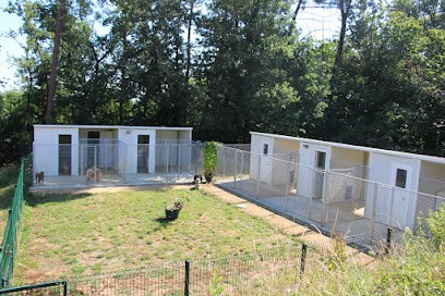 Le Domaines des Anges Fidèles, Pension pour Chiens à Saint-Front-sur-Lémance