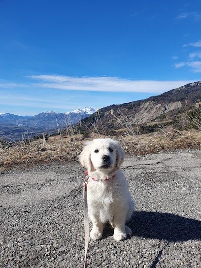 Canimuse Educateur Comportementaliste Canin Champsaur Valgaudemar, Dresseur de Chiens à Saint-Bonnet-en-Champsaur