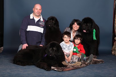 DOMAINE DU TAENNCHEL, Eleveur de Chiens à Thannenkirch