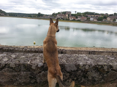 L'arche De Néo, Pension Pour Chien à Saint-Sernin-du-Bois