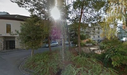 4 Pattes Educ éducation canine et comportement canin et félin, Dresseur de Chiens à Toul