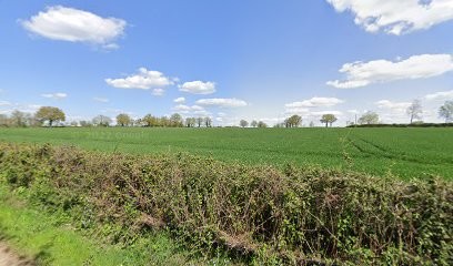 Surmont Agnès, Pension pour Chiens à Champdeniers-Saint-Denis
