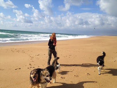 MerciMonChien - Éducation Canine Bienveillante - Comportementaliste - Pau et alentours, Dresseur de Chiens à Poursiugues-Boucoue