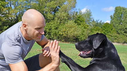 Dollydog Educ, Dresseur De Chiens à Oberentzen