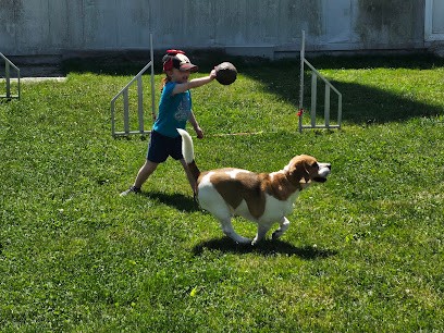 Nicolas Cheru, Dresseur de Chiens à Reims