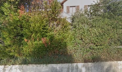 Ambé'canin, Dresseur de Chiens à Ruy-Montceau