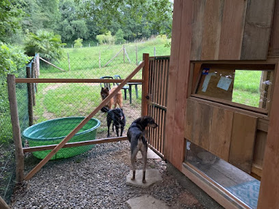 Au Chien Savant Pension Canine, Pension Pour Chien à Marciac