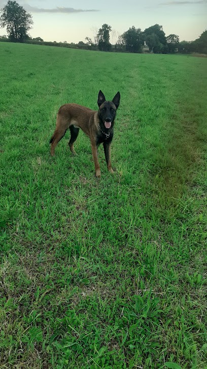 Saugrain Alain, Dresseur de Chiens à Amayé-sur-Seulles