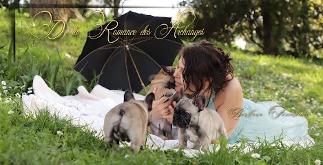 De La Romance Des ArchangesElevage Bouledogue Français LOF & British ShorthairLOOF, Eleveur de Chiens à Beaumont-Pied-de-Boeuf